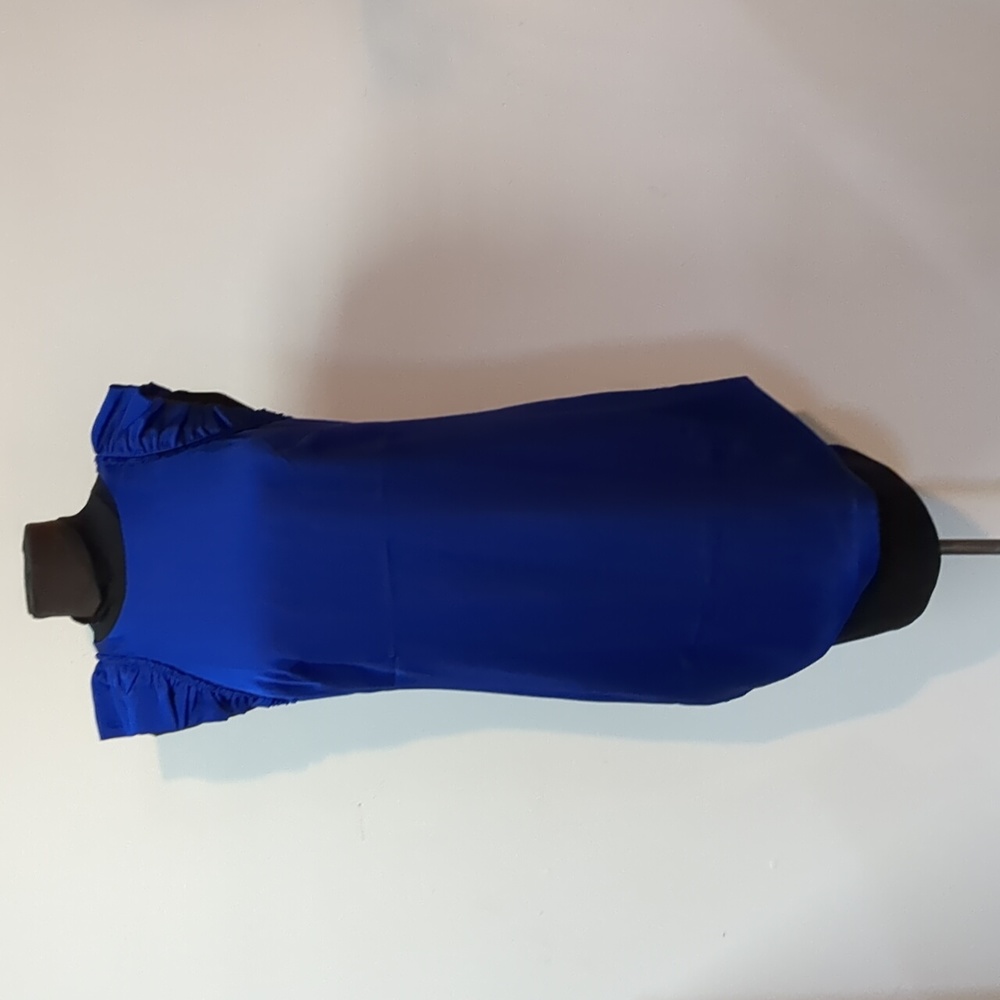 NWT Ann Taylor Ruffle Sleeve Sheath Dress Crepe, Size 4